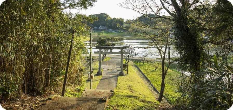 美と健康運UPコース