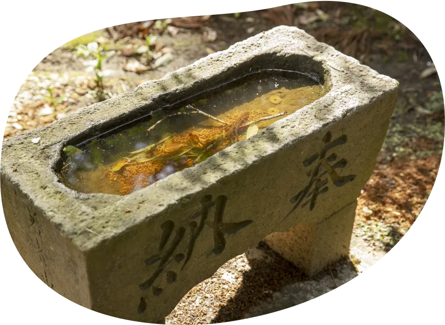 手水舎が無い・使えない